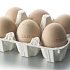 Яйца вредны для сердца и сосудов